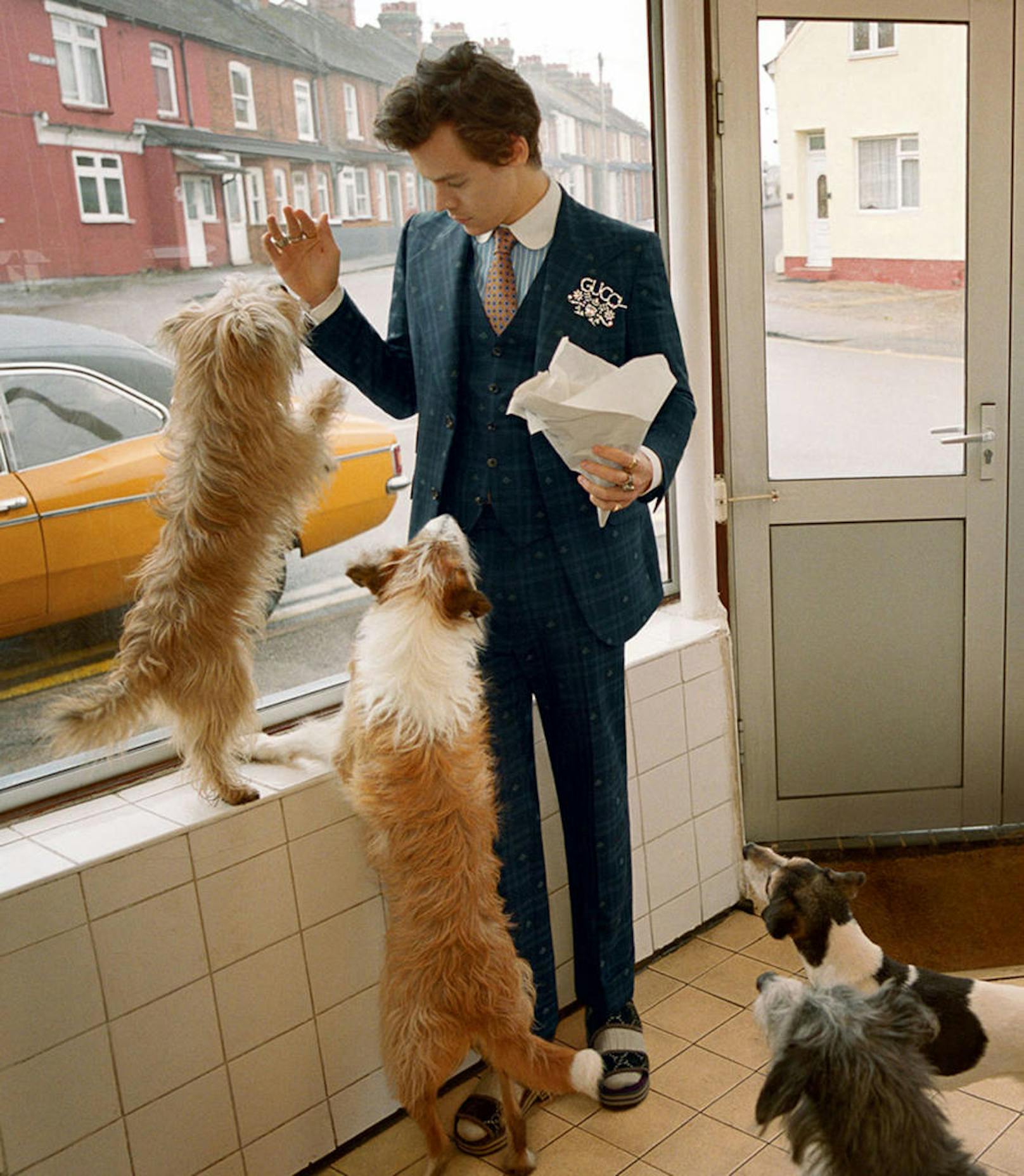 Ein Gentleman durch und durch: Selbst die Hunde werden von <b>Harry Styles</b> im edlen Gucci-Zwirn gefüttert.