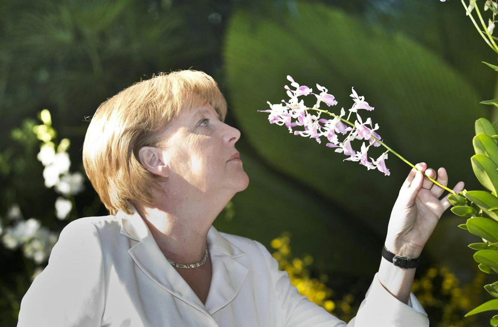 Angela Merkel verbringt ihre Freizeit gerne im Grünen: Die deutsche Bundeskanzlerin ist Hobbygärtnerin.