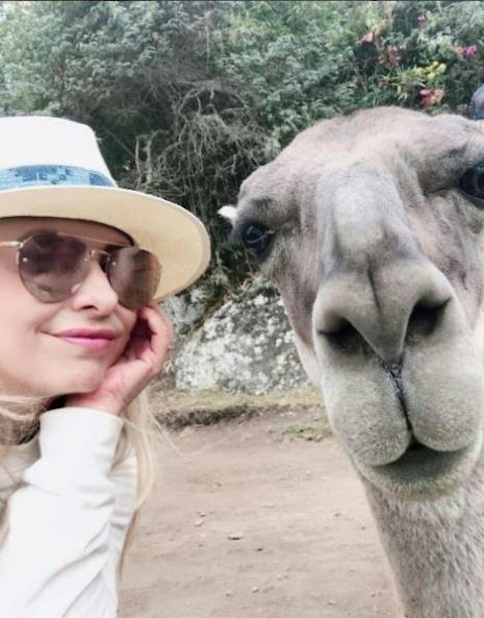 06.08.2017: Sarah Michelle Gellar macht gerade Urlaub in Peru.