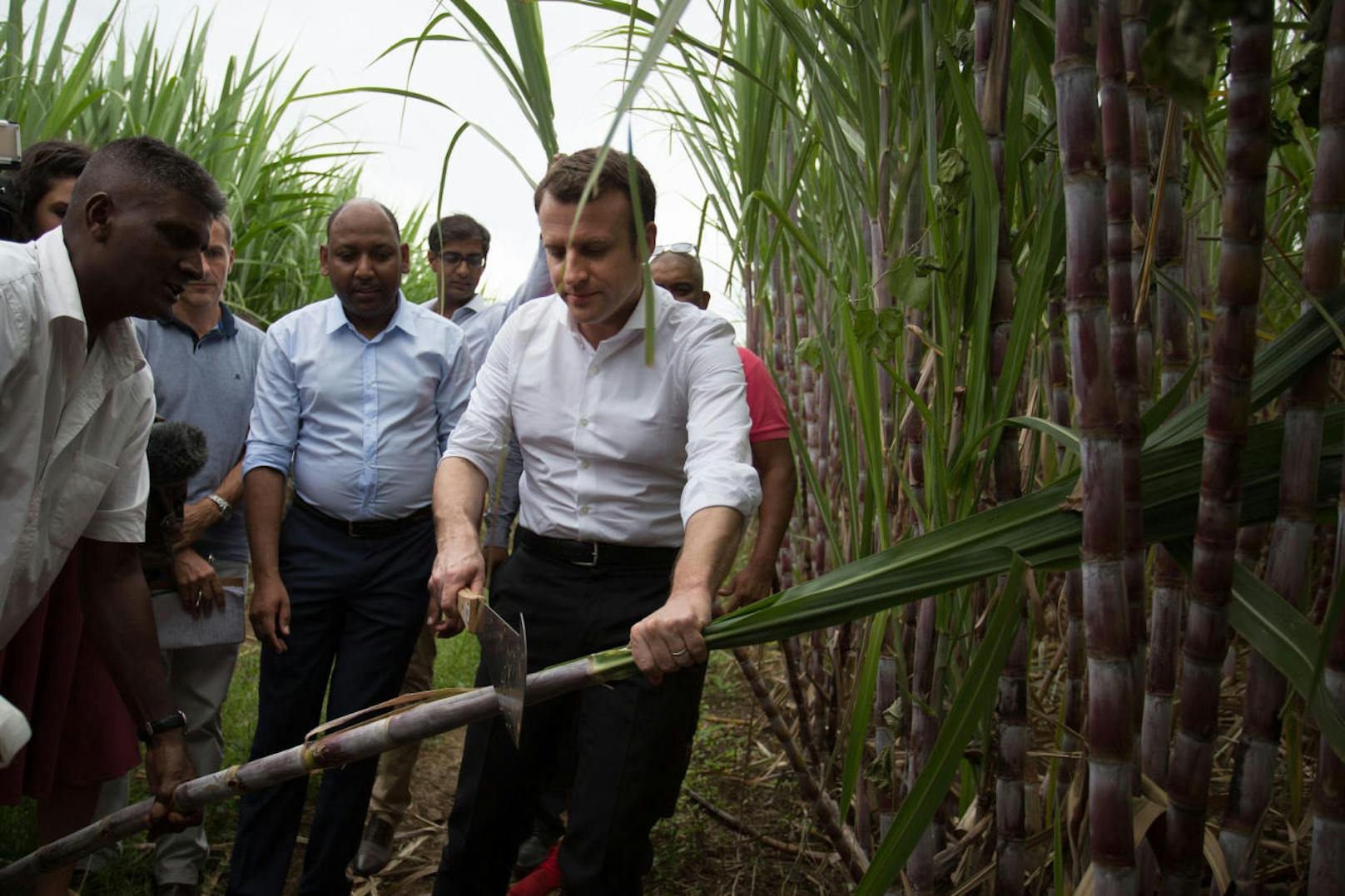 25. März 2017: Emmanuel Macron auf einer Zuckerrohr-Plantage in Saint Leu