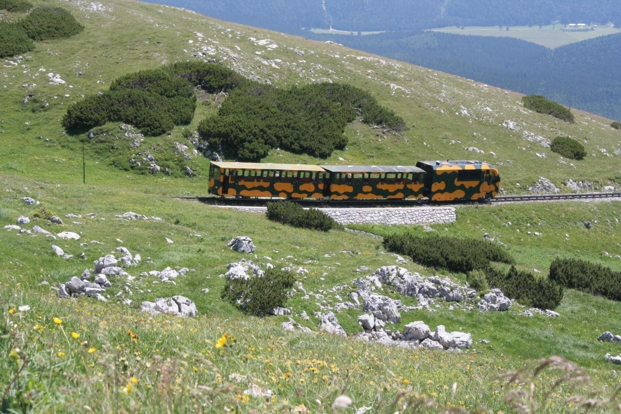 Kurzfristig musste die Talfahrt mit der Schneebergbahn eingestellt werden.&nbsp;