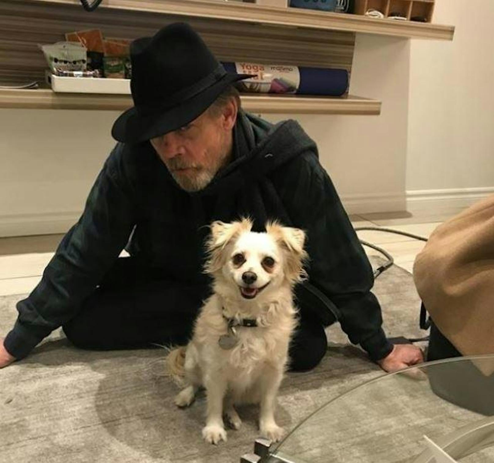 29.11.2017: Mark Hamill hat sich extra einen Flug nach New York gebucht, damit er den sechsten Geburtstag.seiner Hündin Millie Grace nicht verpasst.