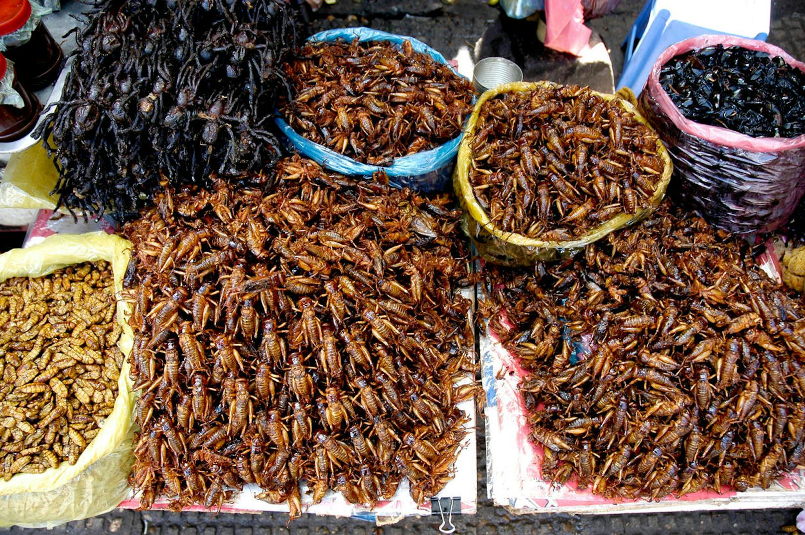 In asiatischen Ländern haben gegrillte und frittierte Insekten einen Fixplatz in den Snack-Buden.