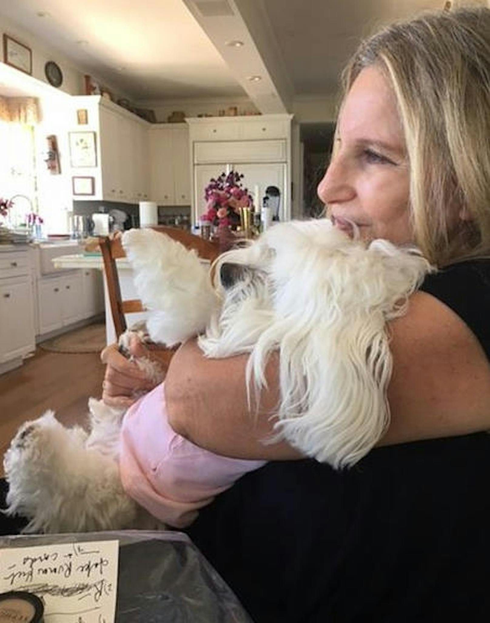 29.05.2017: Superstar Barbra Streisand trauert. Nach 14 Jahren ist am Wochenende ihr Hund Samantha, den sie liebevoll Sammie genannt hat, gestorben. Auf ihren Social-Media-Kanälen postete sie am Sonntag das letzte gemeinsame Bild mit ihr.