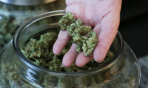 4/20 - Der weltweite Marihuana-Feiertag