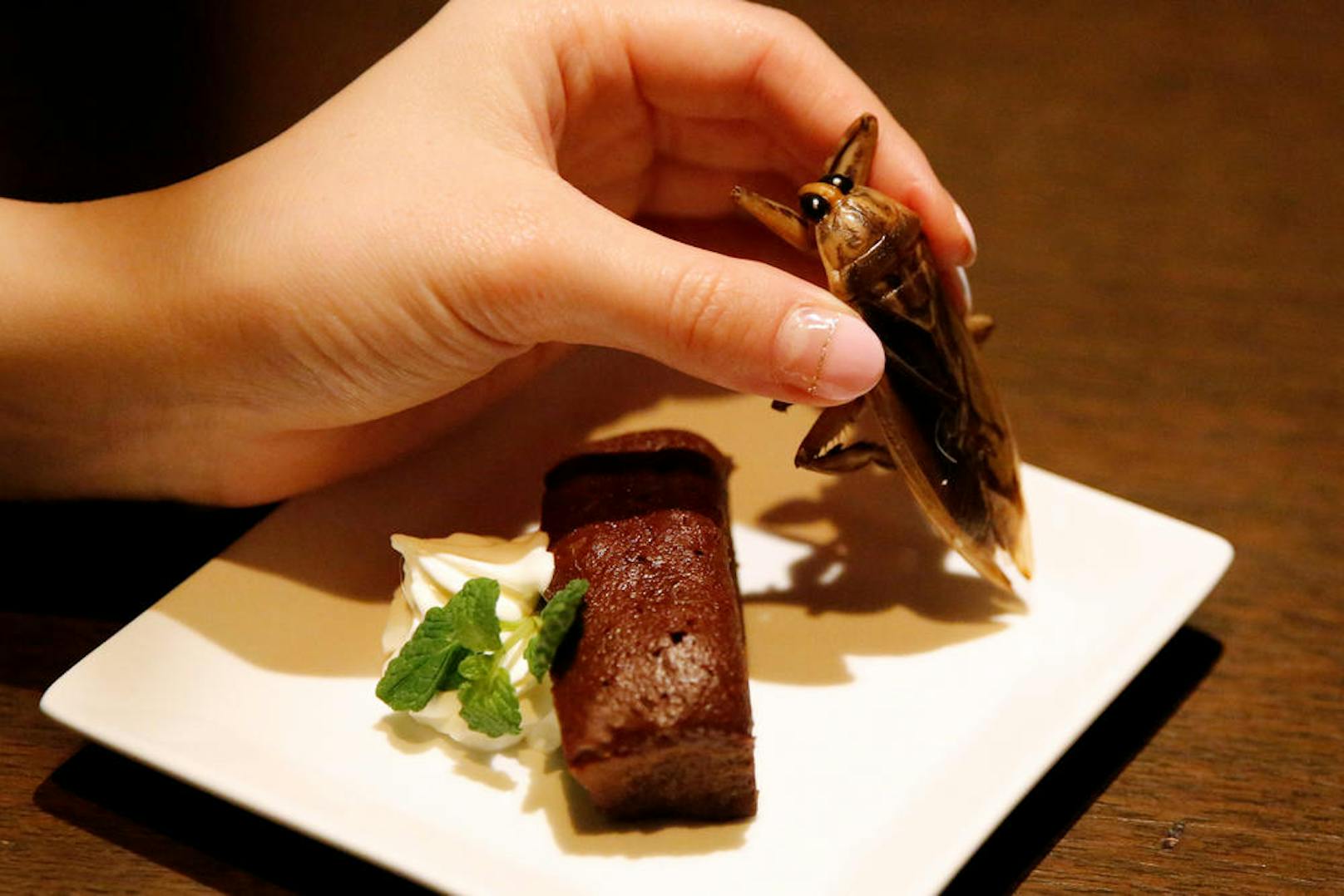 13.02.2017: Schokokuchen mit Wasserwanze:
Schokoladekuchen, Schlagobers und ein Insekt, das einer Kakerlake ziemlich ähnlich sieht. In einer Bar in Tokyo wird das als neuer Food Trend verkauft. Na dann: Mahlzeit!