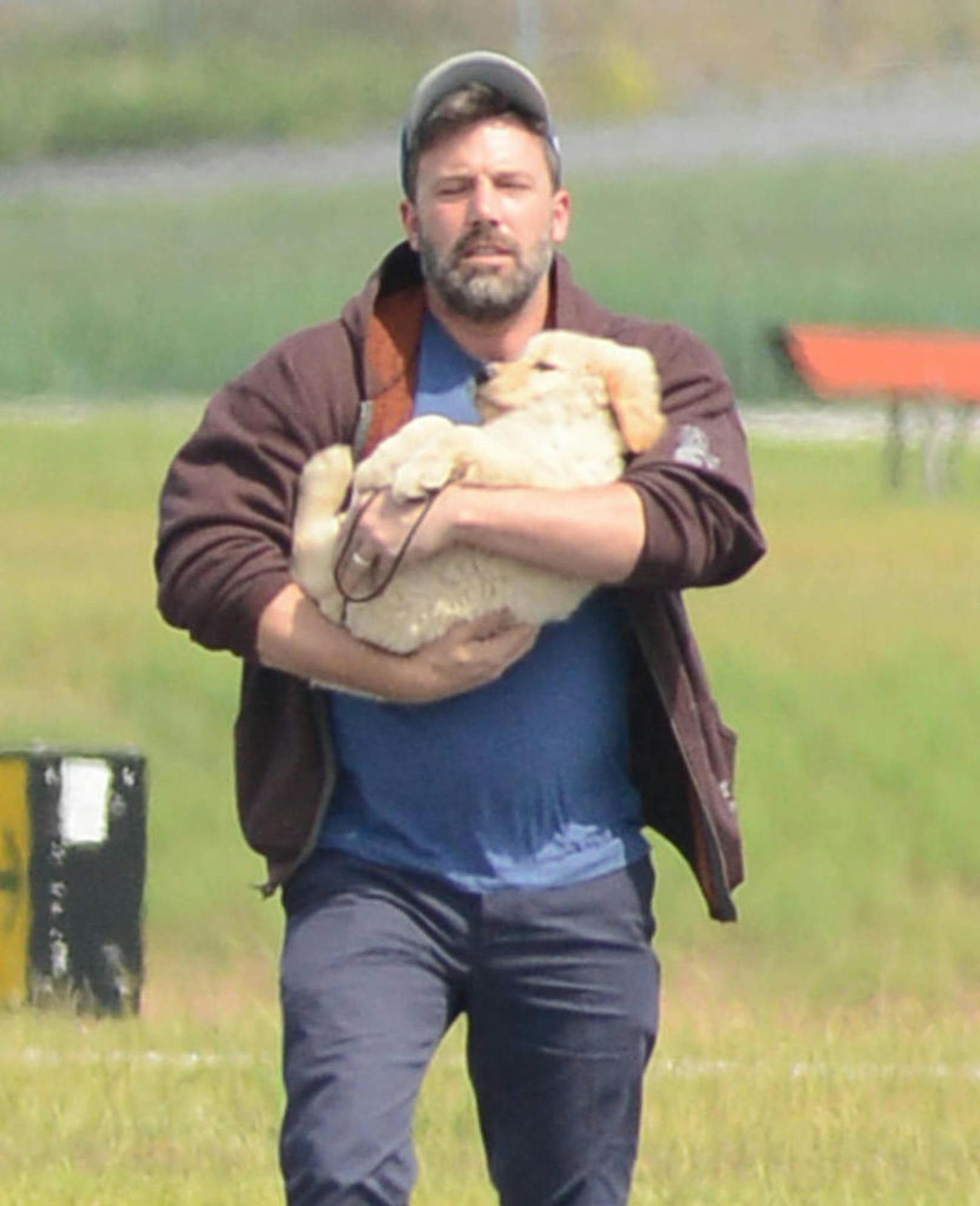 Ben Affleck mit einem Hundewelpen. Seinen Ehering trägt er auf diesem Foto von 2015 noch immer.