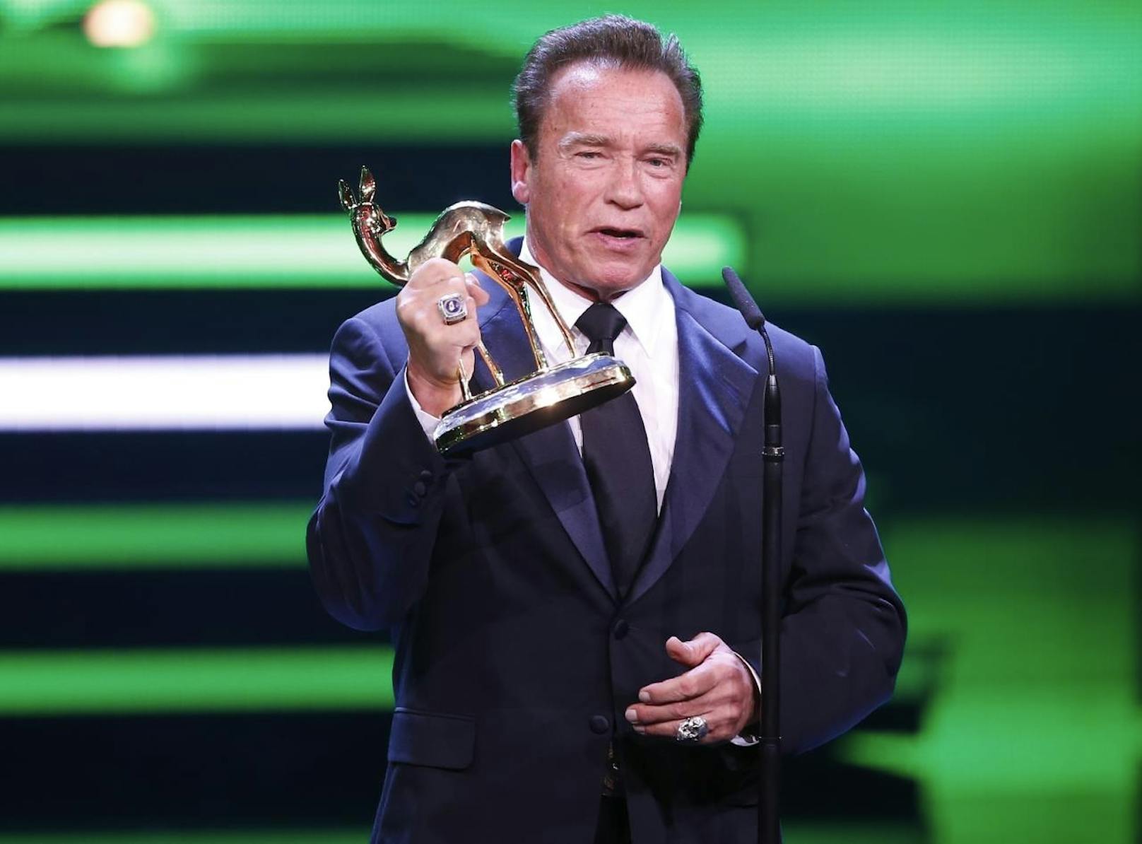 17.11.2017: Arnold Schwarzenegger wurde in Berlin mit dem Bambi für sein Engagement im Kampf gegn den Klimawandel ausgezeichnet.