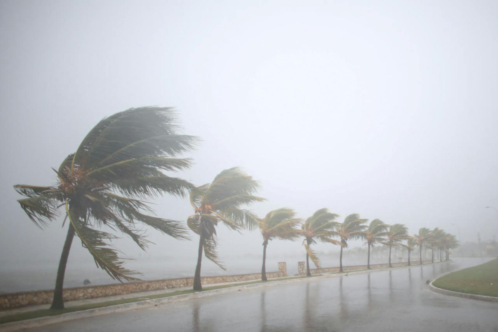 Irma trifft am Samstag auf Kuba.