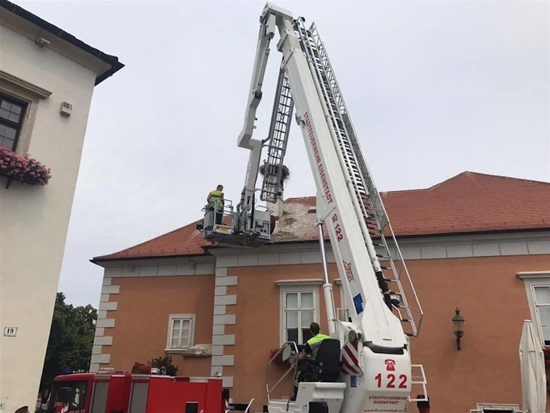 Der Jungstorch wurde von der Feuerwehr gerettet
