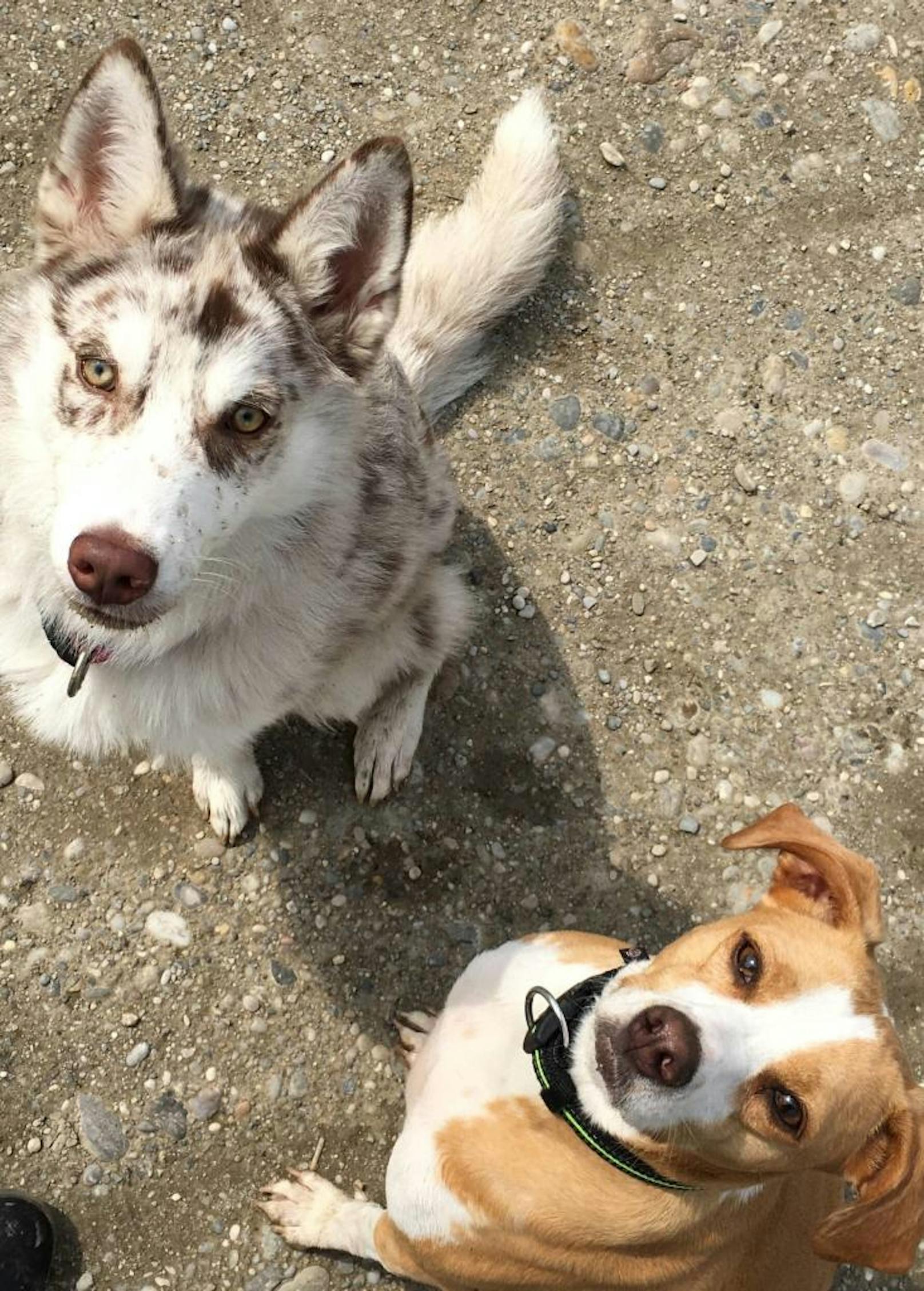 Dakota & Luna