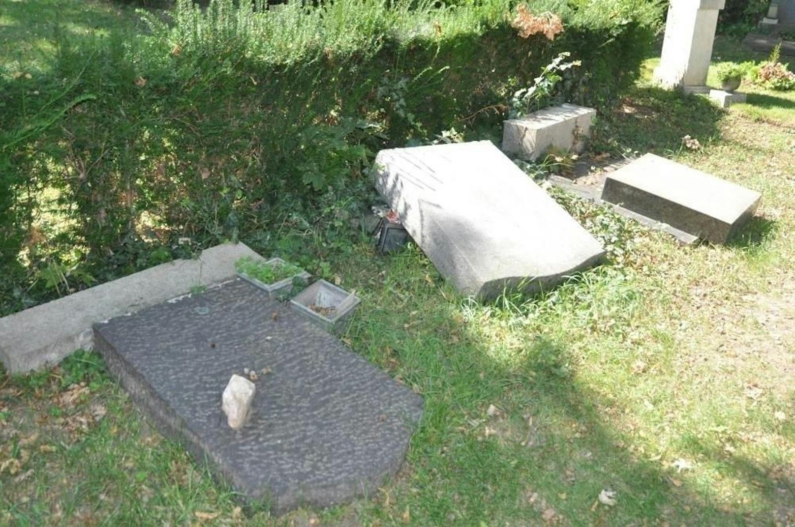 Zahlreiche Grabsteine wurde am Wiener Zentralfriedhof von Vandalen beschädigt.
