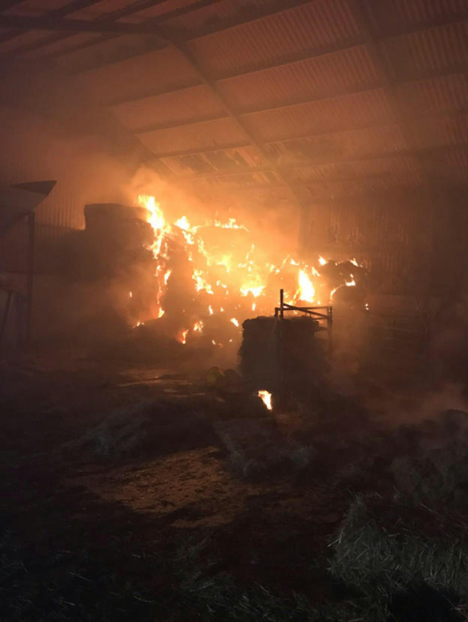Der Brand war am 21. Februar 2017 in einer Scheune der Farm ausgebrochen.
