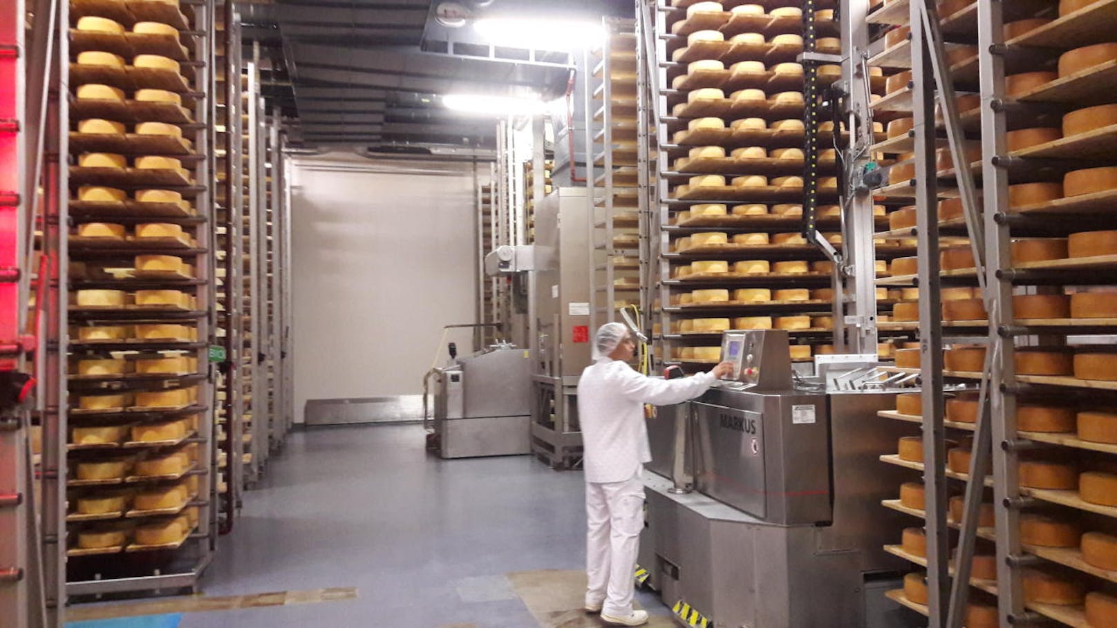 In der Halle reifen 24.000 Laib Käse und 40.000 Käseblöcke.
