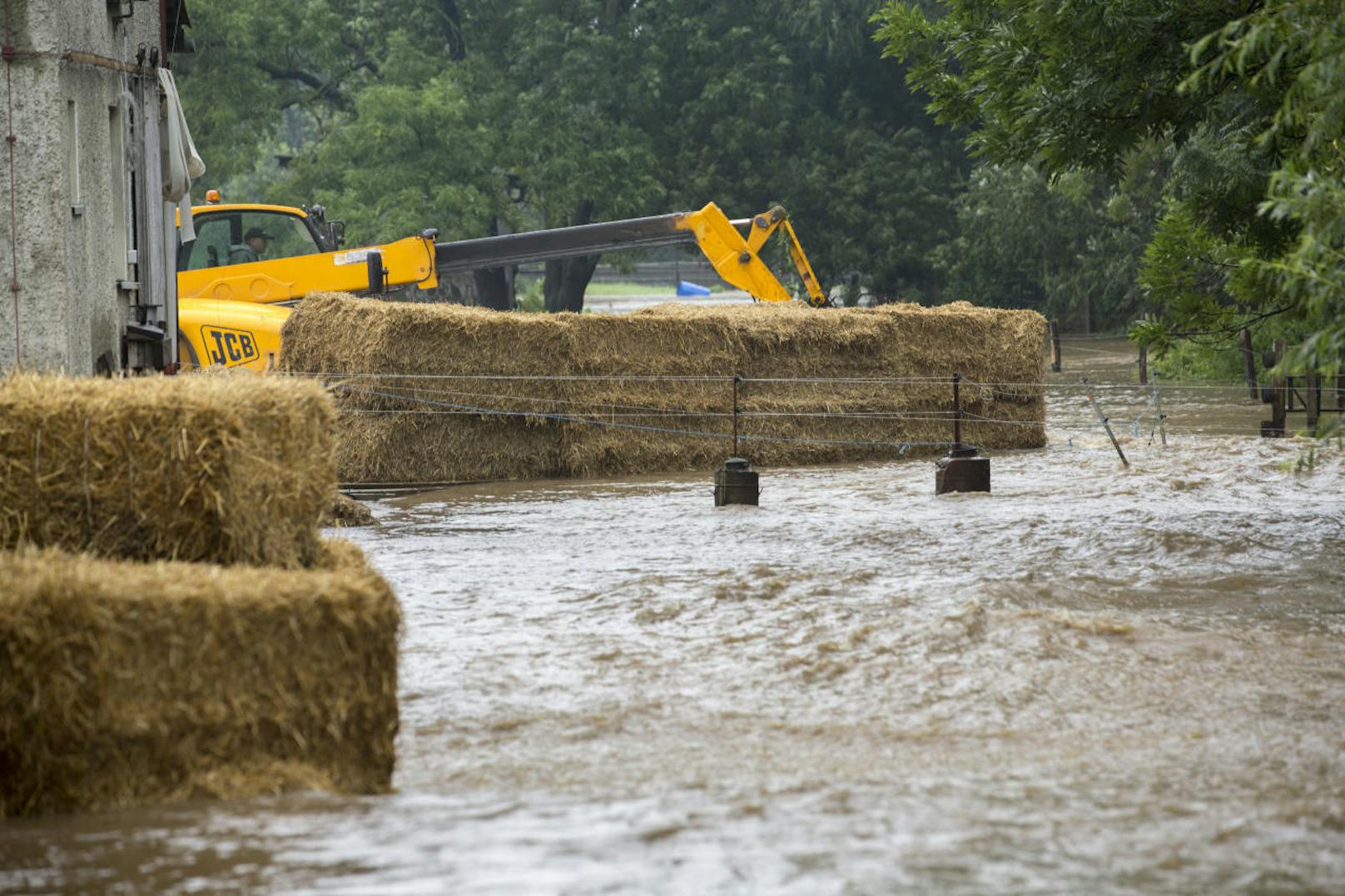 Die deutschen Bundesländer Niedersachsen, Sachsen-Anhalt und Thüringen haben mit anhaltenden heftigen Regenfällen zu kämpfen. In der Harz-Region kam es zu Überschwemmungen. Ein Ende ist derzeit noch nicht in Sicht.