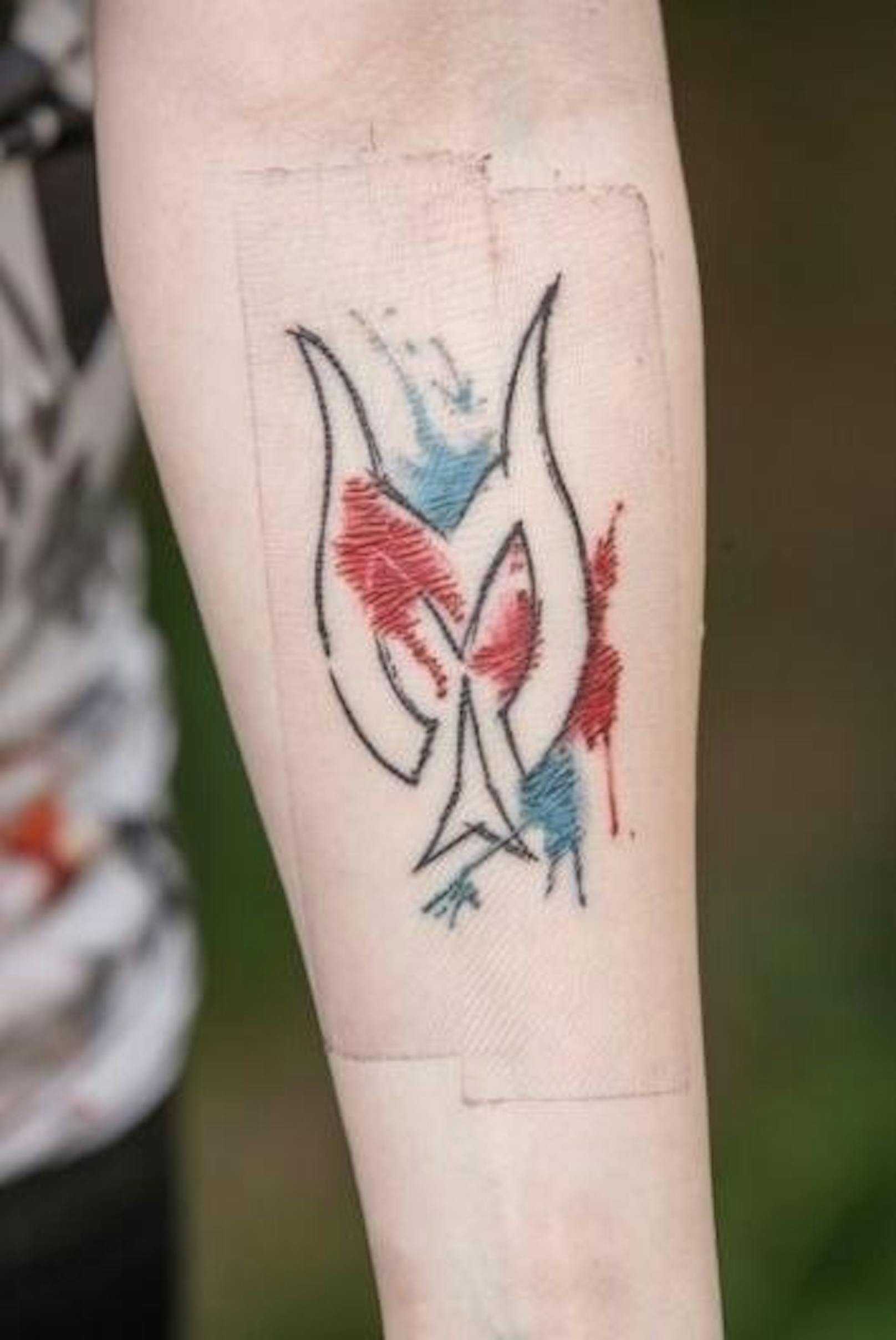 Fan-Liebe für die Ewigkeit - Ferschin zeigt ihr Hirscher-Tattoo: "Es hat schon weh getan, aber es bleibt ja jetzt für immer dort."