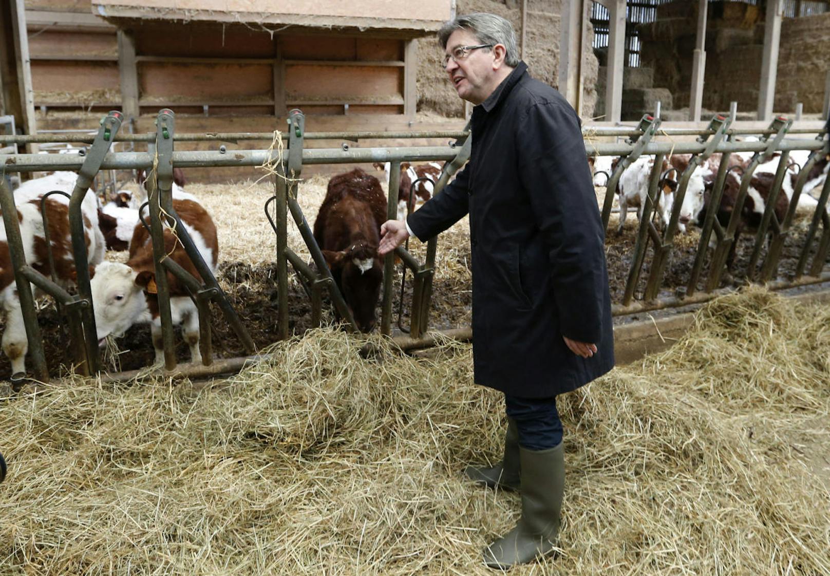 27. Februar 2017: Jean-Luc Melenchon, auf einem Bauernhof in Saint-Germain-la-Poterie