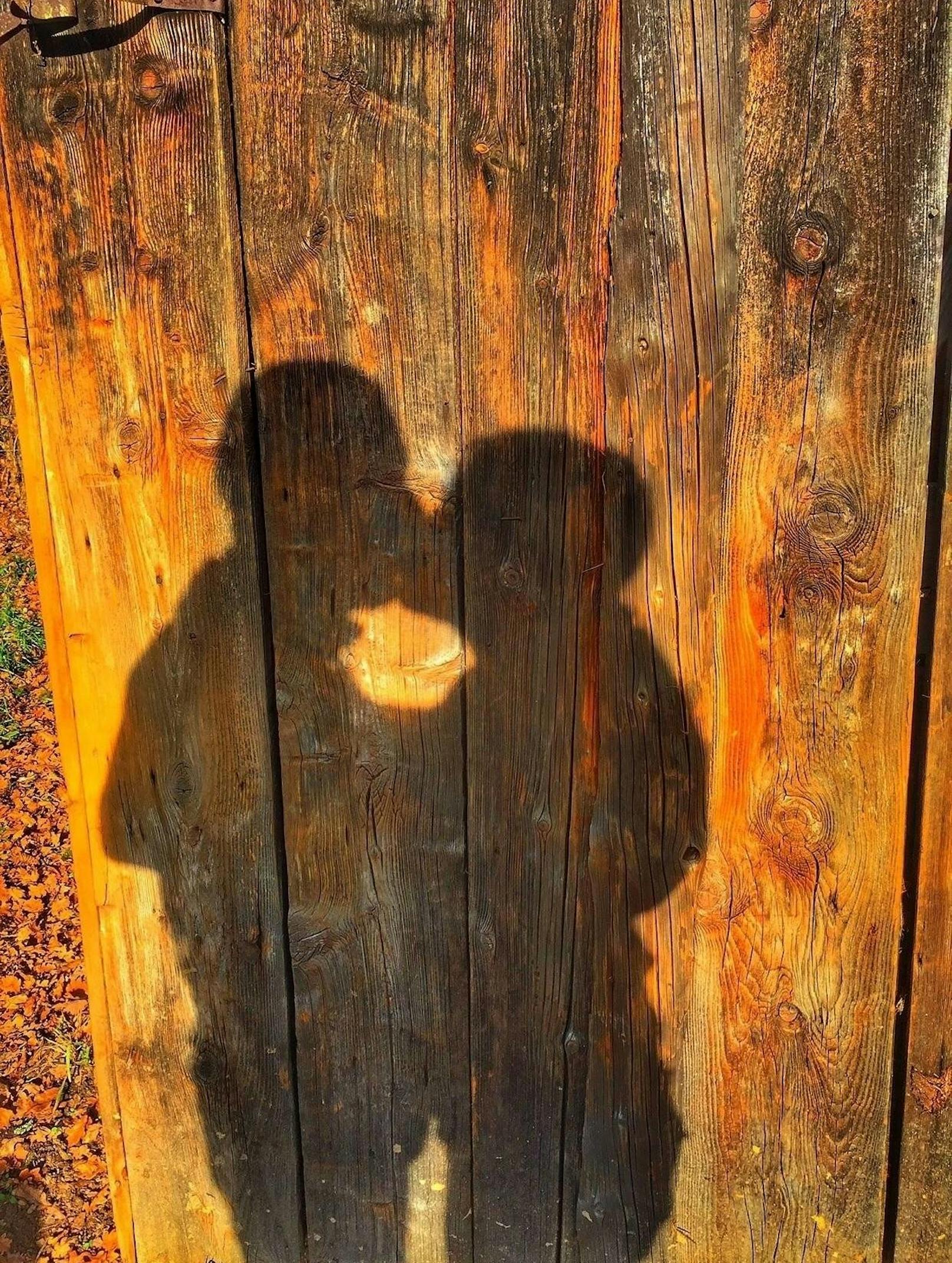 Wenn sich die Schatten auch küssen hat man den richtigen Partner gefunden.