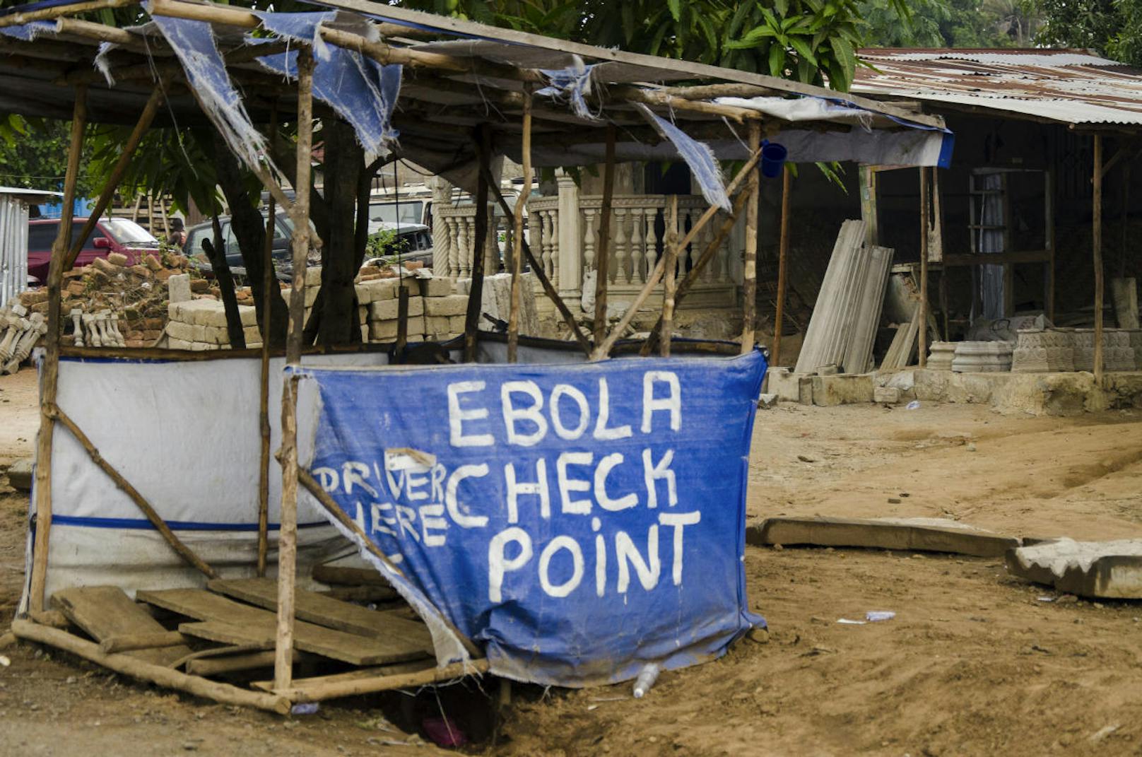 ... sondern auch an Lassa- und Ebola-Viren. So waren Wissenschaftler aus Marburg auch während der Ebola-Epidemie 2014 in Westafrika im Einsatz und ...