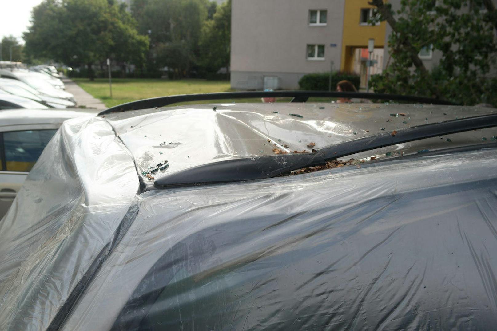 In der Großfeldsiedlung stürzte kürzlich ein großer Ast auf zwei geparkte Autos. Laut Anrainern nicht der erste derartige Vorfall.