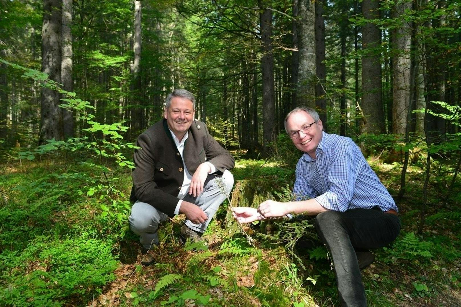 Umweltminister Andrä Ruprechten (VP) und der für den Naturschutz zuständige Landeshauptfrau-Stellvertreter Stephan Pernkopf (VP).  