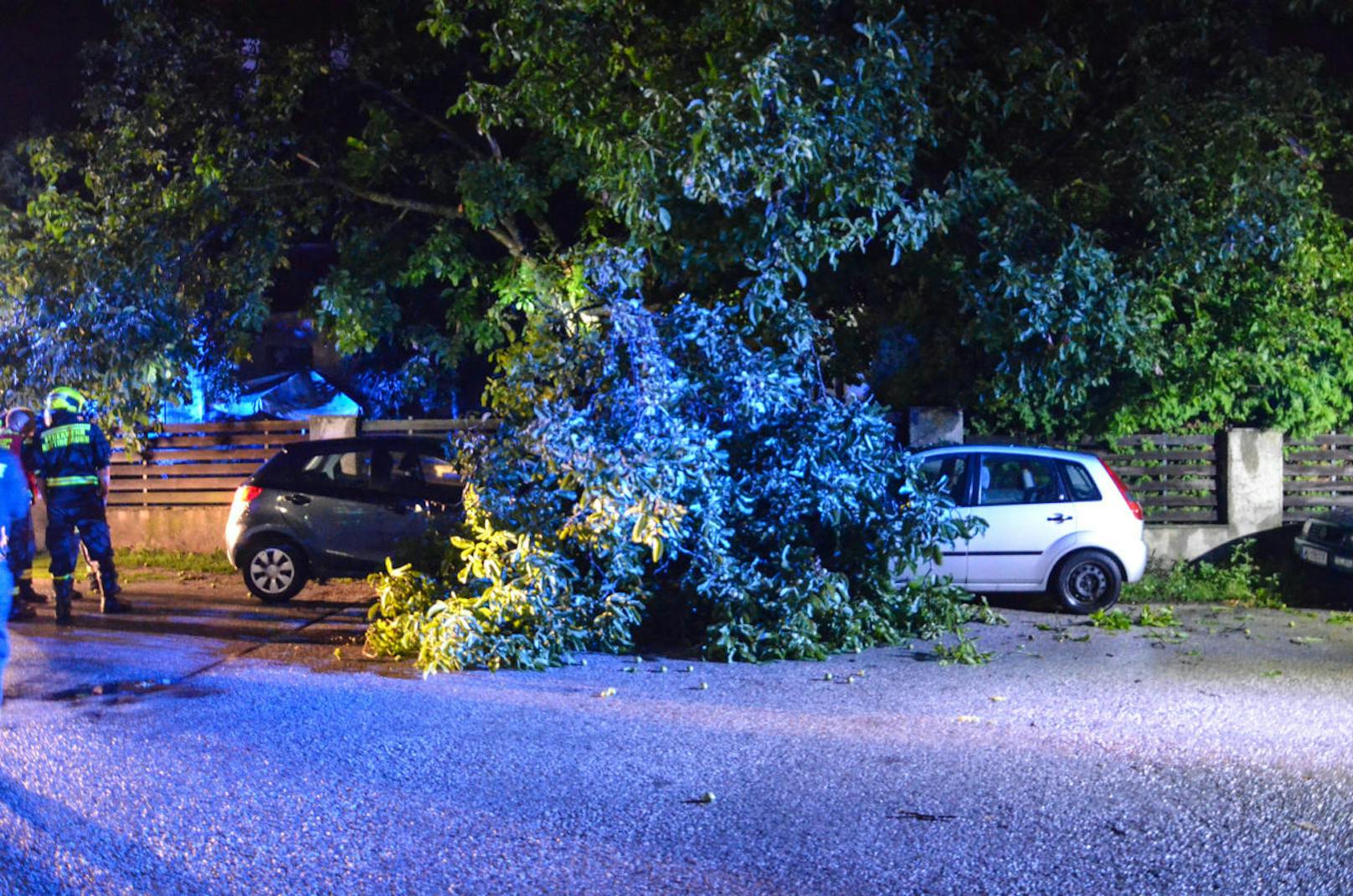 Bei einem heftigen Unwetter in der Nacht auf Freitag wurden im Stadtgebiet von Baden zahlreiche Bäume umgerissen und Autos durch Äste beschädigt. In Haschendorf in Wiener Neustadt riss eine Schafherde aus, als ein Zaun umgerissen wurde. Mehrere Feuerwehren waren im Einsatz.