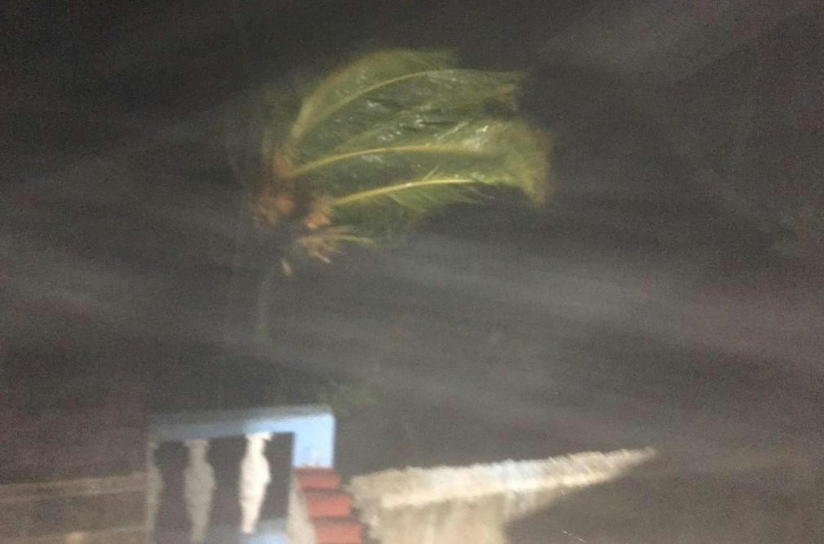 "Die Palme steht zur Hälfte unter Wasser", berichtet CNN-Reporter Patrick Oppmann.