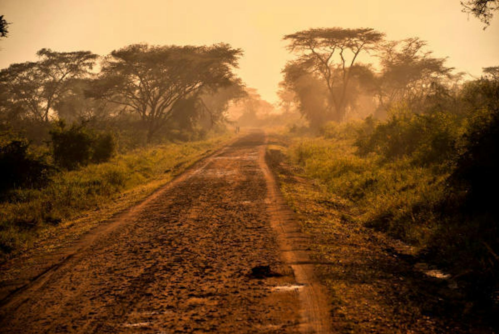 <b>Baker Trail, Südsudan / Uganda:</b> Der historische Wanderweg folgt den Spuren zweier Expeditionen, die im 19. Jahrhundert unter anderem die Quelle des Nil zum Ziel hatten. Distanz: 805 Kilometer, Dauer 30 bis 40 Tage, Anforderung: mittel bis schwer.