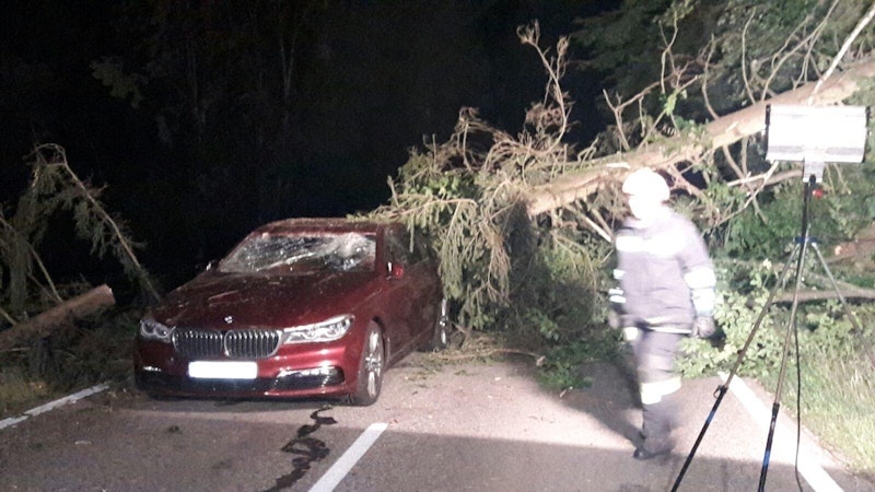 Der schwere Baum stürzte genau auf das Auto, beschädigte es schwer.
