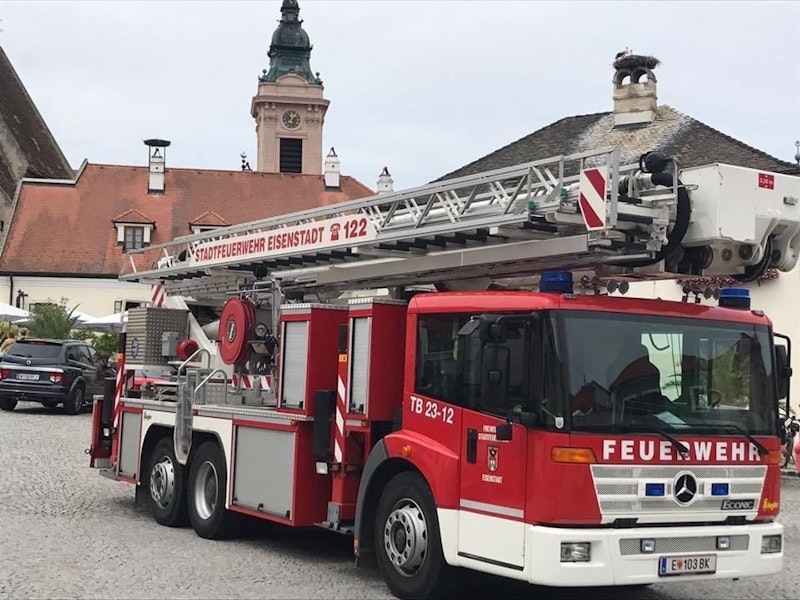 Der Jungstorch wurde von der Feuerwehr gerettet
