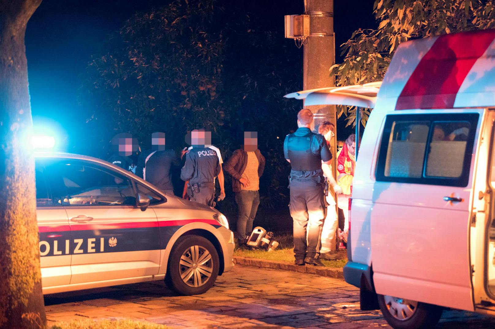 Bei einem der Messerangriffe wurde im Linzer Volksgarten schwer verletzt.
