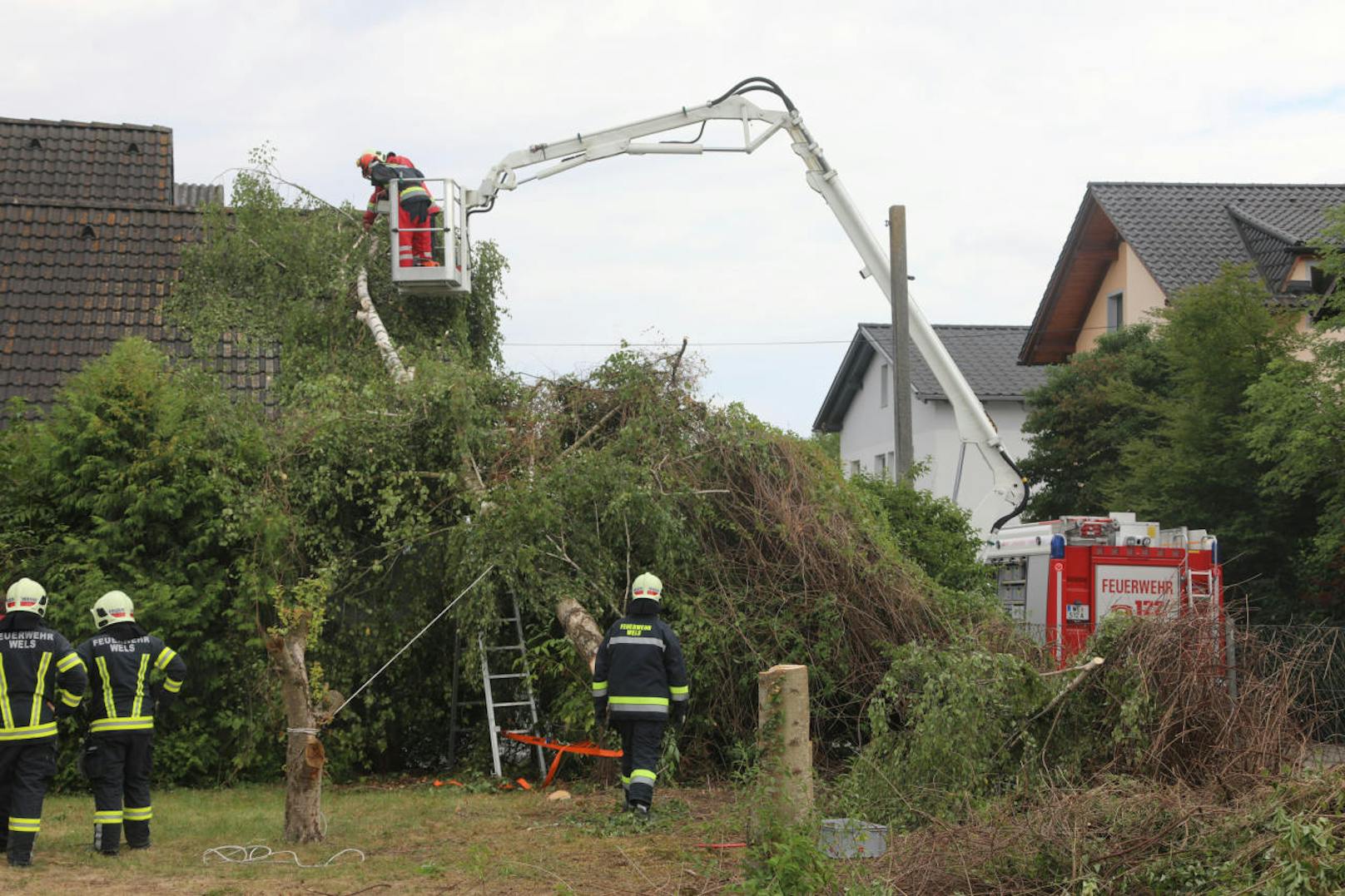 Feuerwehrmänner entfernten den Baum Stück für Stück.