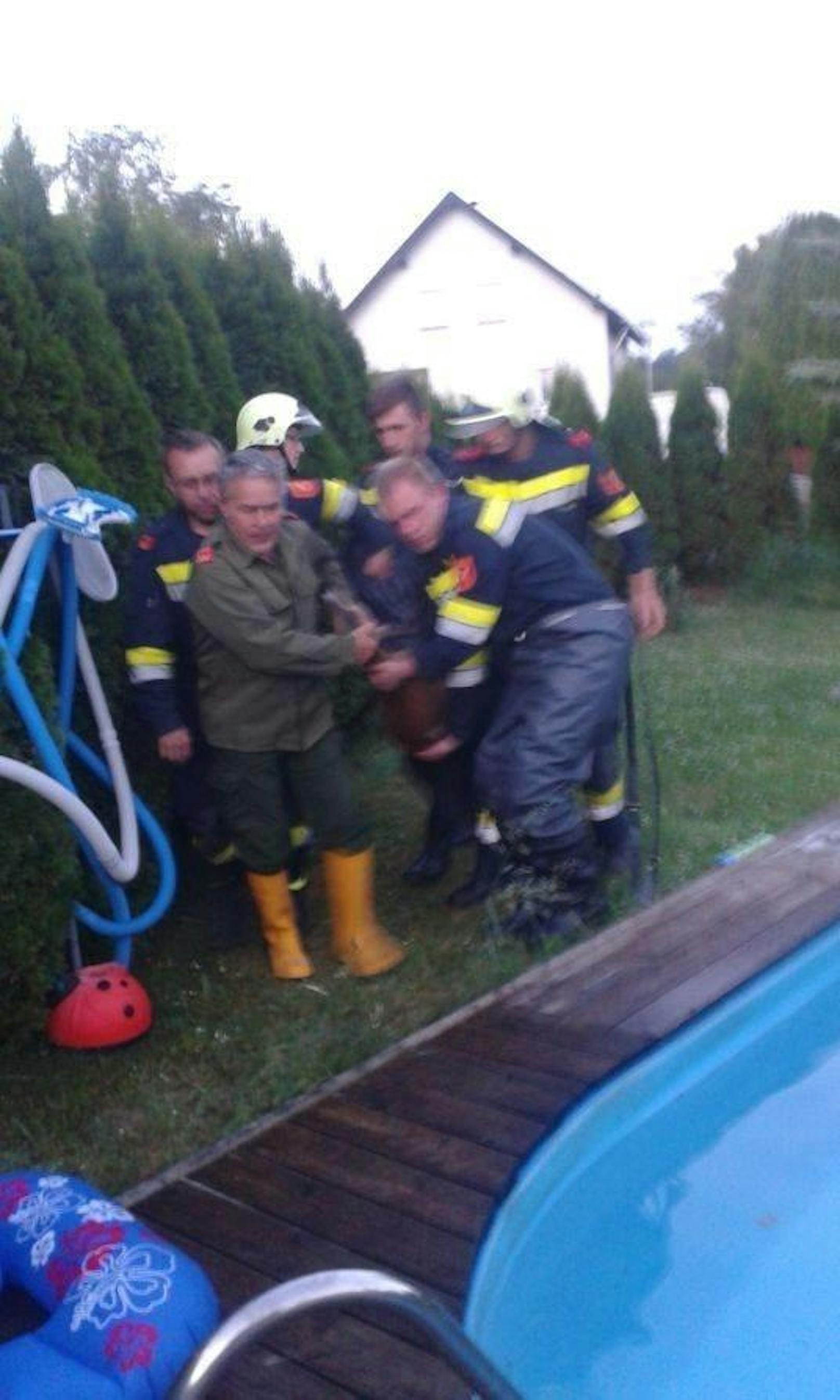 Die Feuerwehr holte das Tier behutsam aus dem Wasser.
