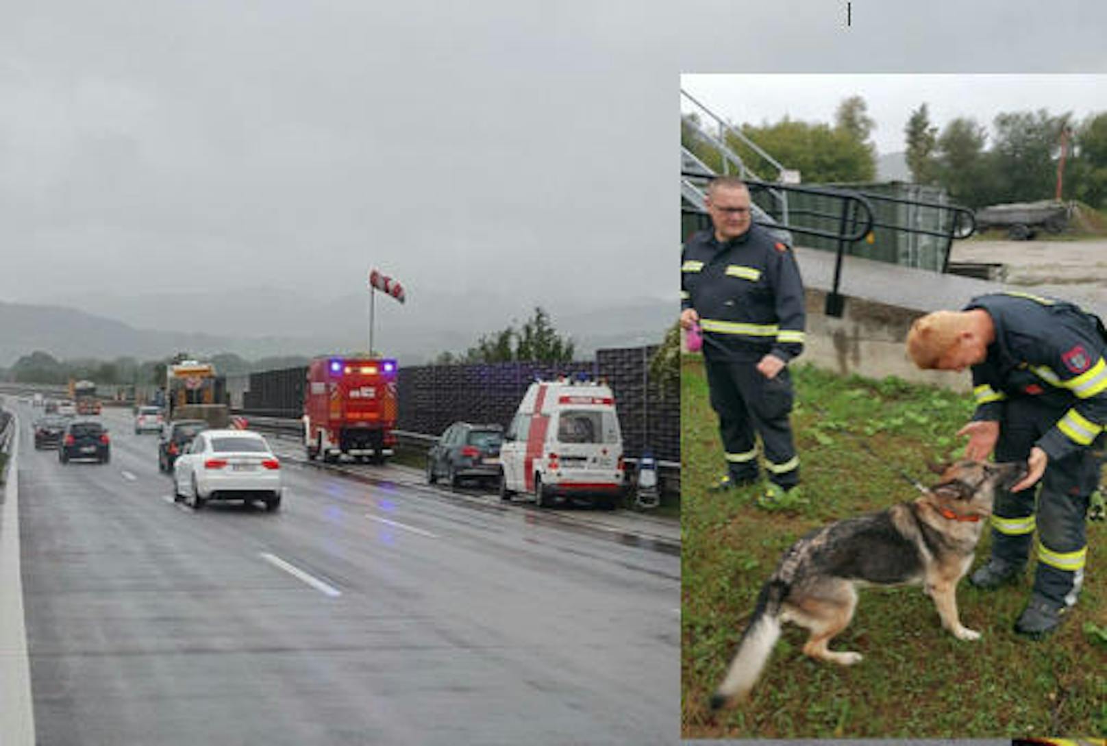 Crash mit mehreren Fahrzeugen auf der A1 bei Melk: Lenkerin schwer verletzt, Hund involviert. 