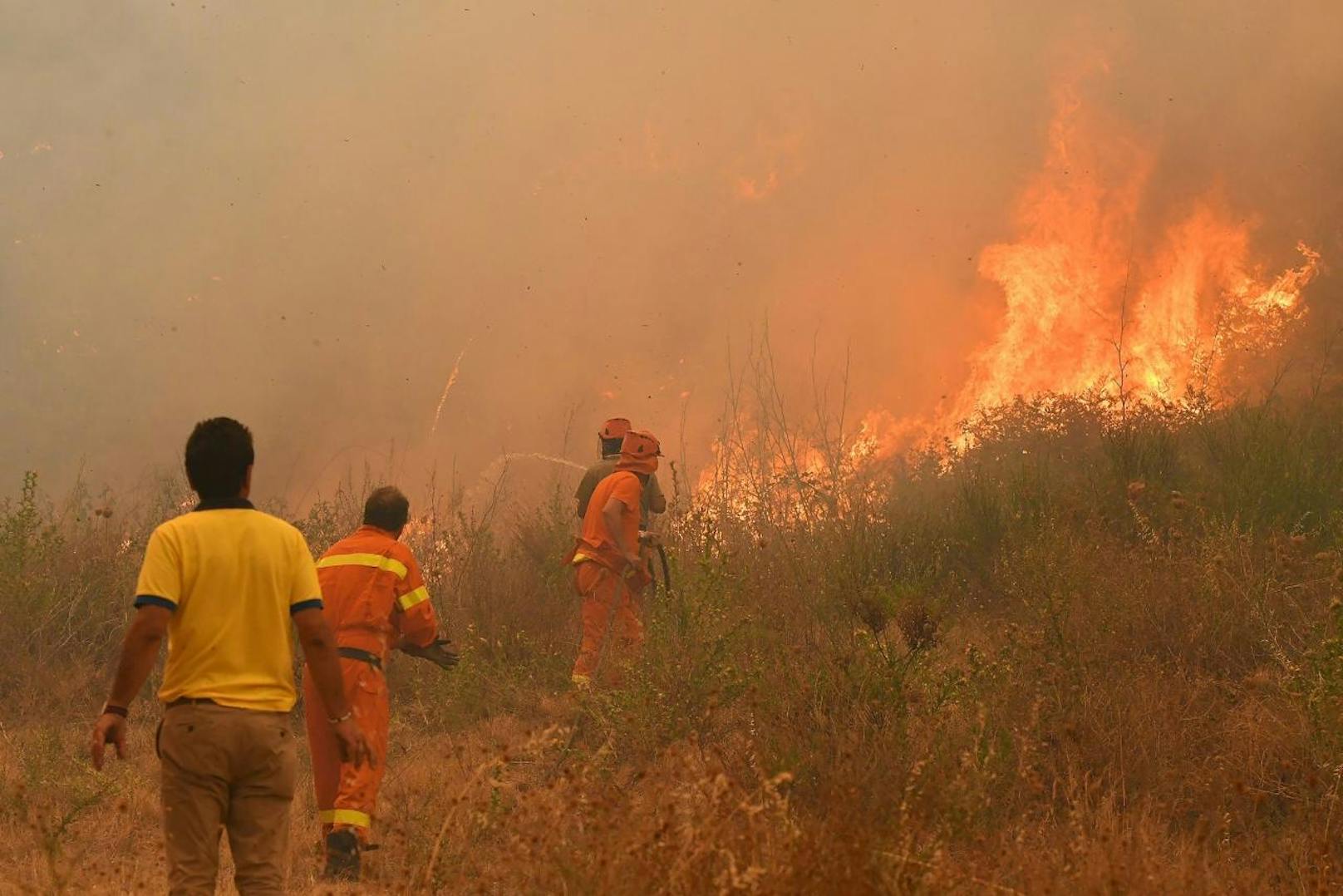 Waldbrand in Sizilien