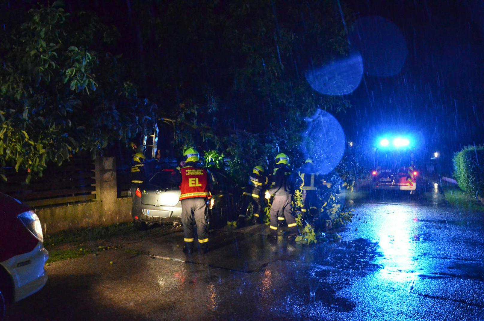 Bei einem heftigen Unwetter in der Nacht auf Freitag wurden im Stadtgebiet von Baden zahlreiche Bäume umgerissen und Autos durch Äste beschädigt. In Haschendorf in Wiener Neustadt riss eine Schafherde aus, als ein Zaun umgerissen wurde. Mehrere Feuerwehren waren im Einsatz.