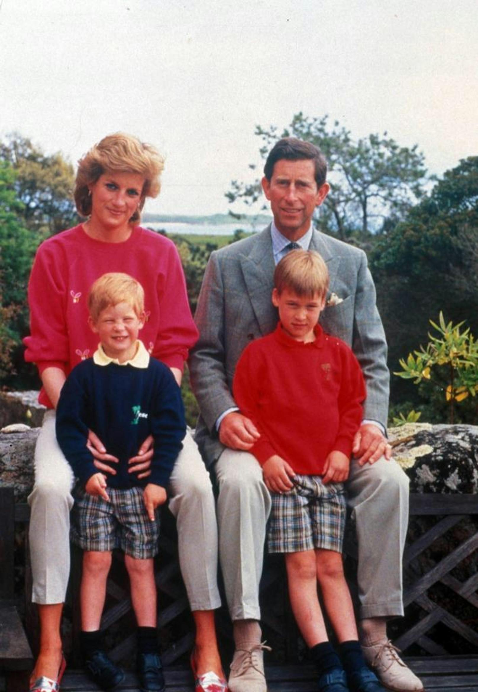 Prinzessin Diana, Charles, William und Harry