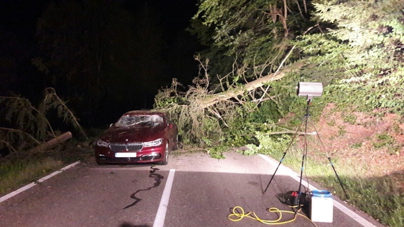 Der schwere Baum stürzte genau auf das Auto, beschädigte es schwer.