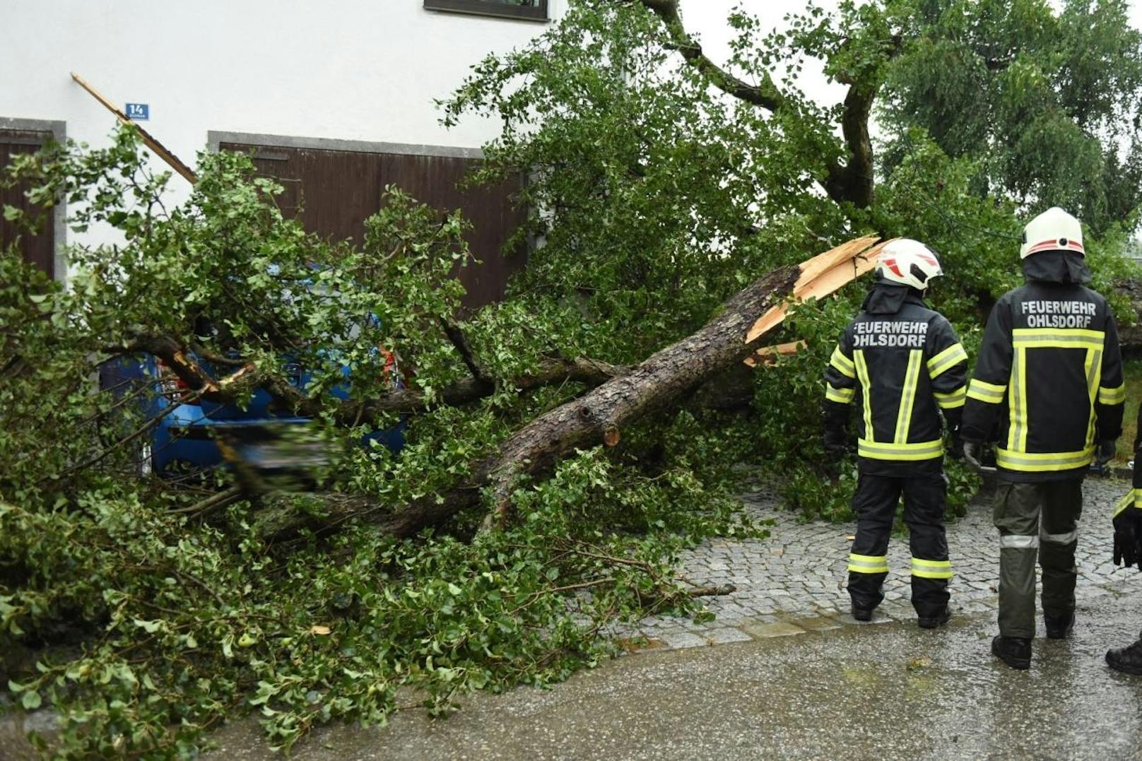 In Ohlsdorf (Bezirk Gmunden) landete ein umstürzender Baum auf einem Auto.