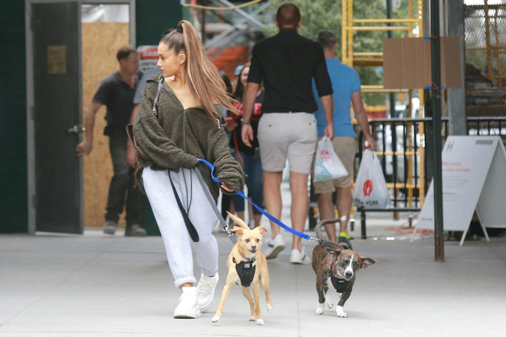 Ariana Grande mit zwei ihrer Hunde am 22. September 2018 in New York
