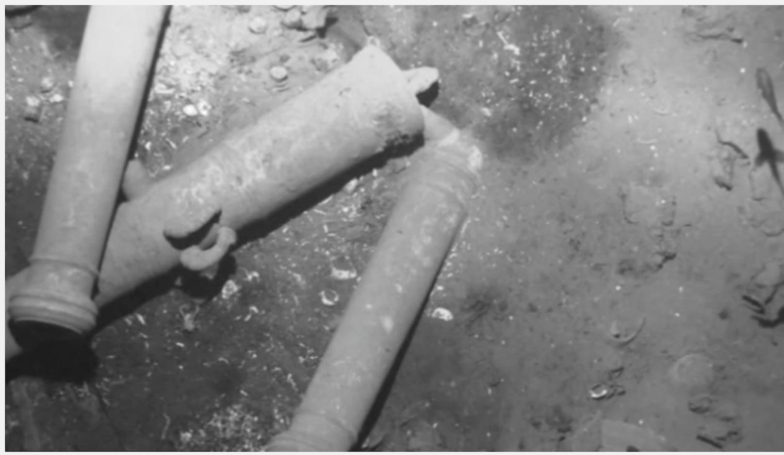 2015 wurde das Wrack der spanischen Galeone nahe der Halbinsel Barú vor Cartagena entdeckt - bisher fand man allerdings nur Kanonenrohre und Geschirr.