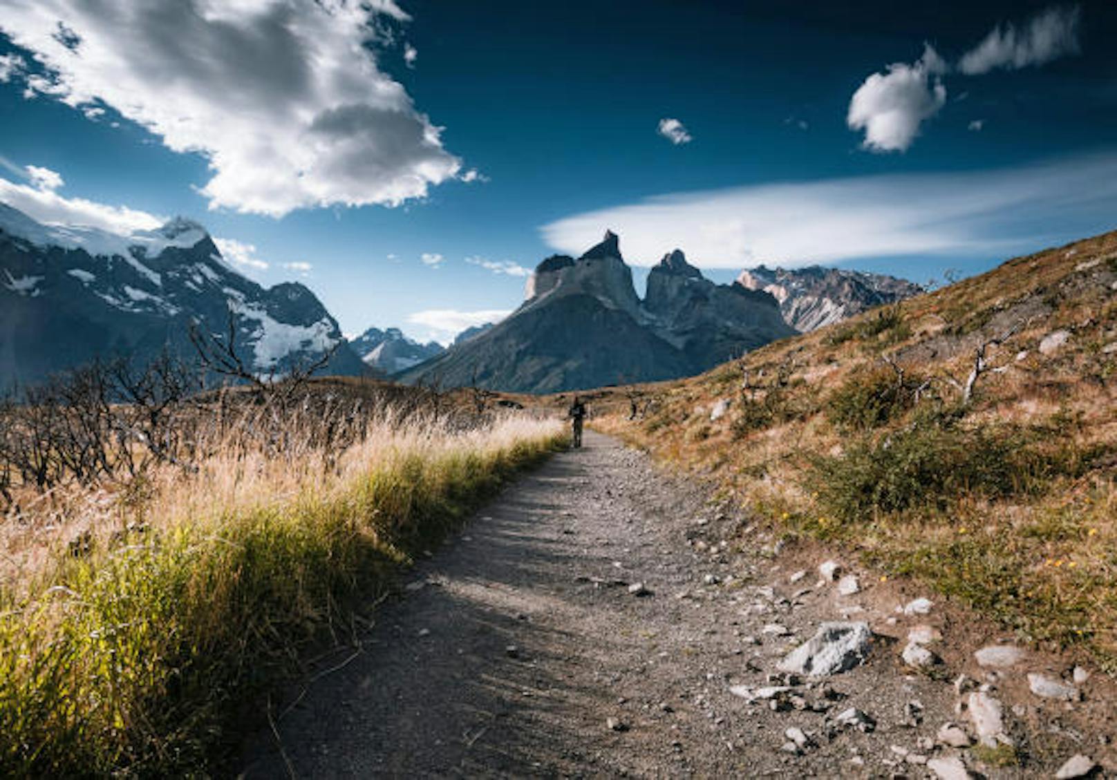 <b>Torres del Paine, Chile:</b> Die beiden wichtigsten Wanderstrecken durch den Nationalpark sind das "W" und das "O" - benannt nach ihrer Form. Wer die längere O-Route absolviert, erlebt tiefgrüne Wälder und karges Bergland von ihrer schönsten Seite. Distanz: 130 Kilometer, Dauer: 6 bis 8 Tage, Anforderung: mittel.