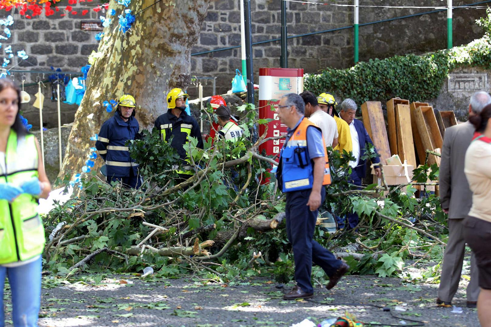 Bei Festlichkeiten auf der portugiesischen Insel Madeira stürzte plötzlich eine 200 Jahre alte Eiche um und begrub Dutzende Menschen unter sich.