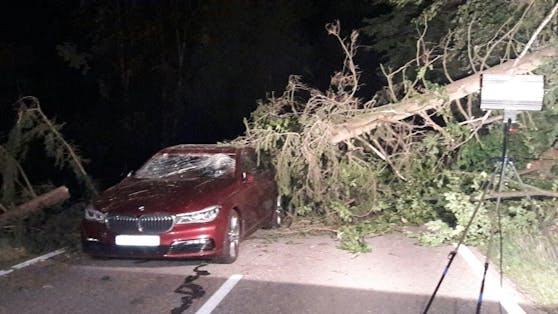 Der schwere Baum stürzte genau auf das Auto, beschädigte es schwer.