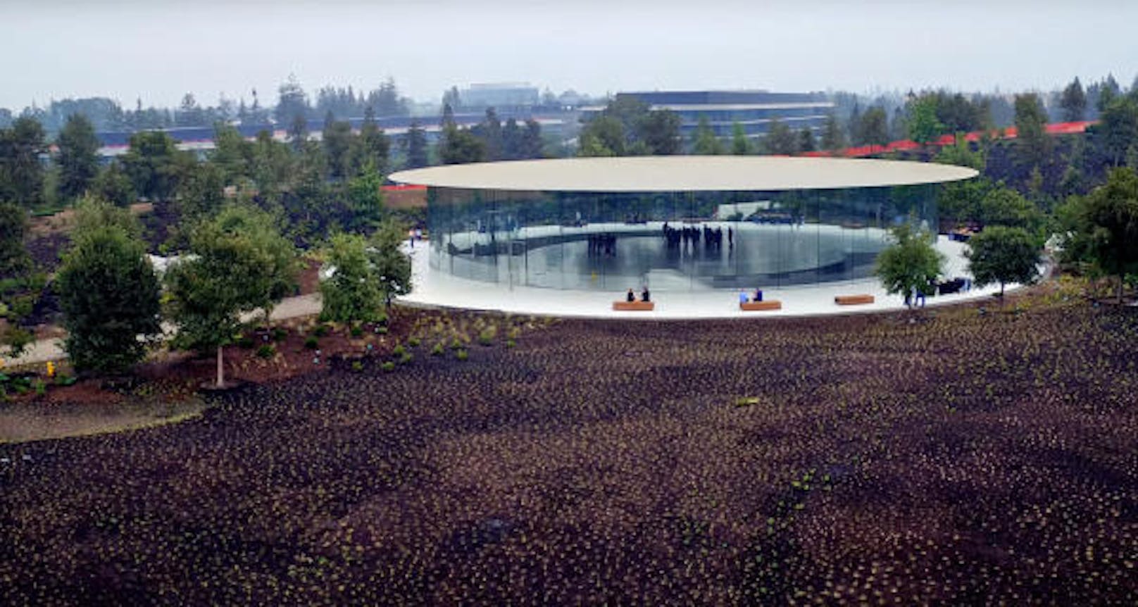Das Steve Jobs Theater - benannt nach dem verstorbenen Firmengründer und Visionär - ist Teil des Apple Campus in Cupertino