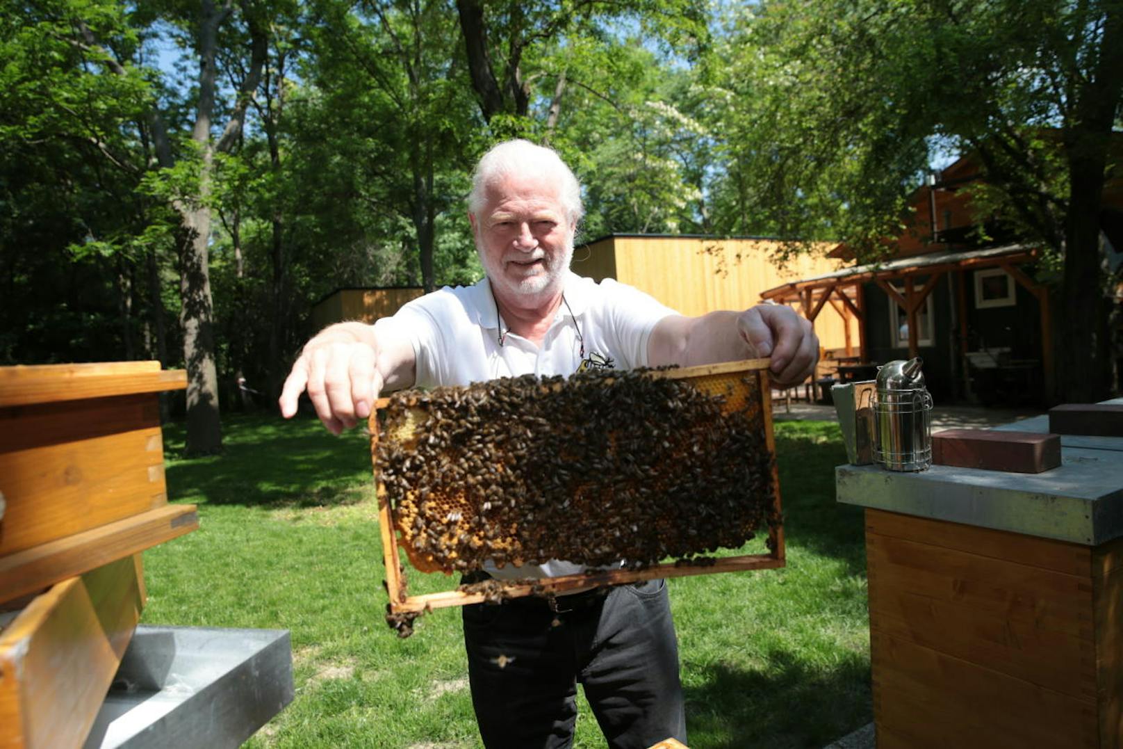 Johann Hladik, Vizepräsident des Wiener Landesverbandes für Bienenzucht mit fleissigen Bienchen