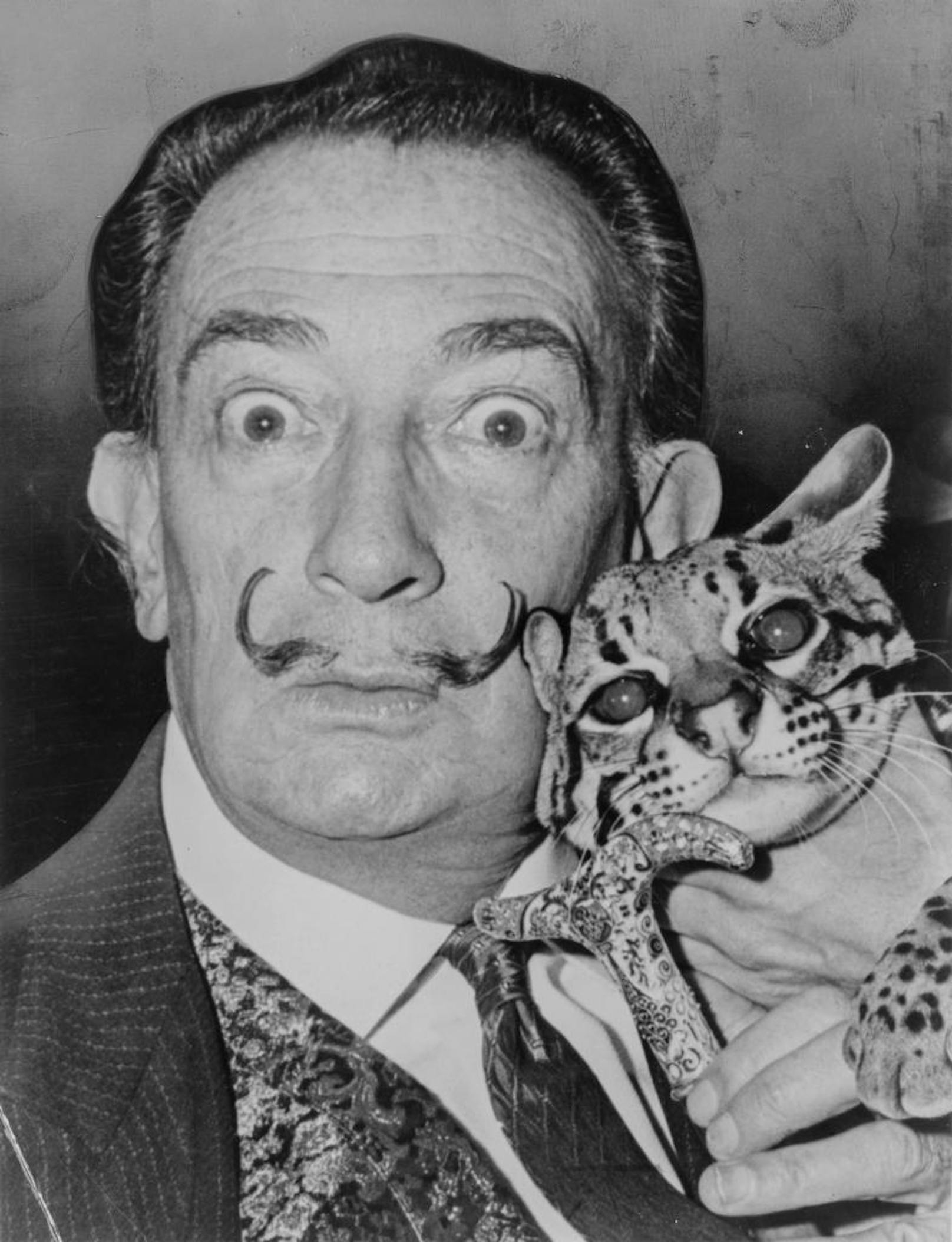 Salvador Dalí im Jahr 1965 mit seinem zahmen Ozelot, den er als Haustier hielt. Der gezwirbelte Schnurrbart wurde zu einem ikonischen Markenzeichen und im Buch Dali?s Mustache porträtiert. Foto: Roger Higgins