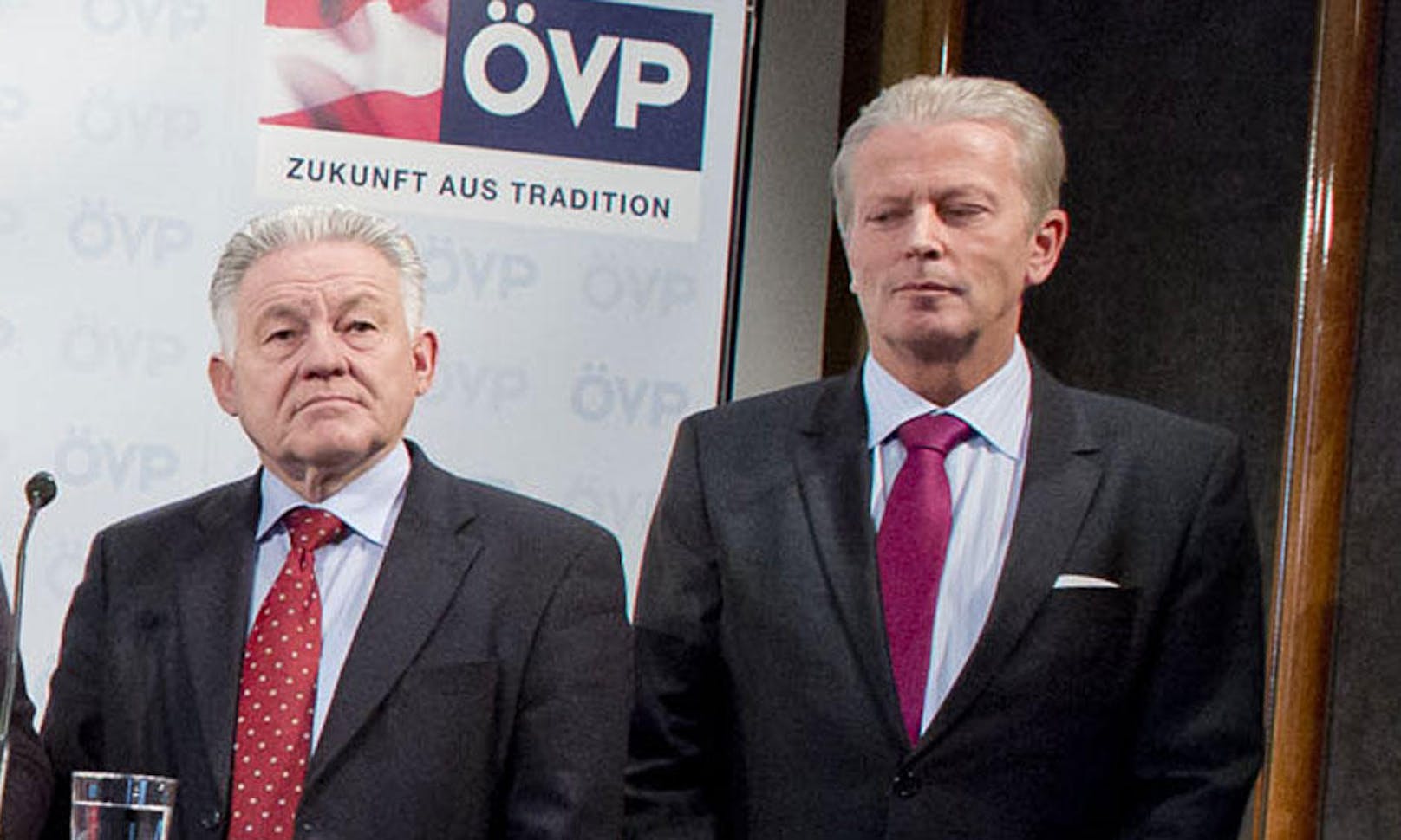 Von 2000 bis 2008 war Mitterlehner Generalsekretär-Stellvertreter der Wirtschaftskammer Österreich. Politisch war Mitterlehner schon ab 1991 aktiv.