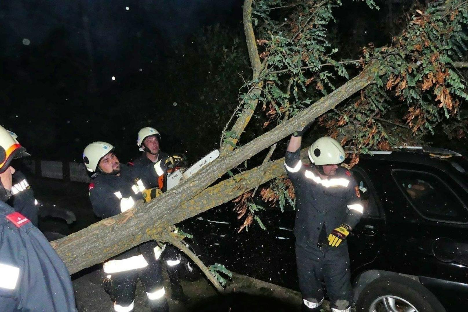 In St. Egyden erwischte ein umgestürzter Baum einen Pkw.