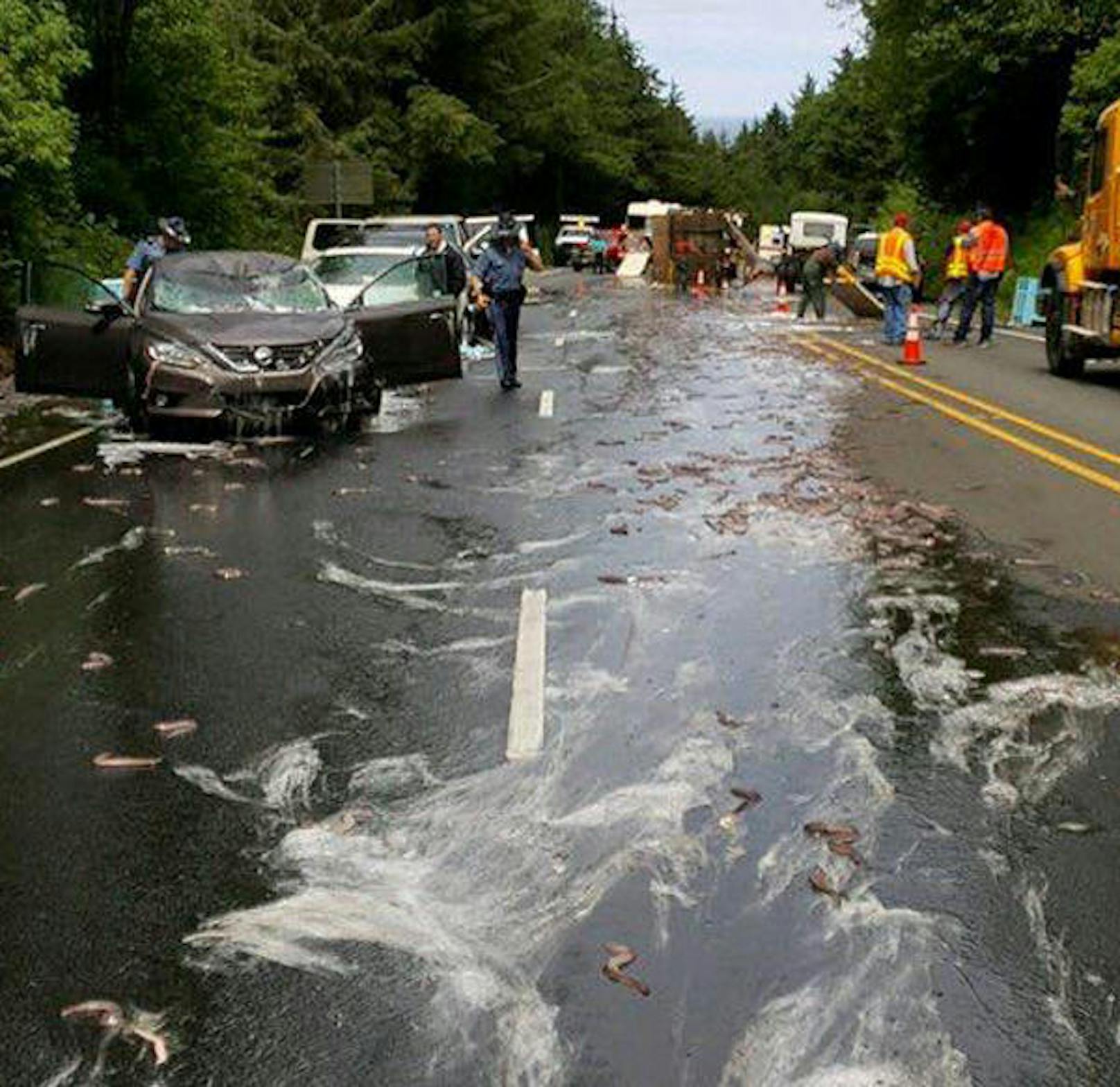 Die Einsatzkräfte arbeiteten stundenlang. Den Mitarbeitern der Verkehrsbehörde verfolgte der glibberige Crash bis in den Feierabend: "I doubt we'll sleep tonight because...#eels".